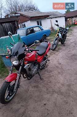 Мотоцикл Многоцелевой (All-round) Kawasaki  ER 500 1998 в Коростышеве