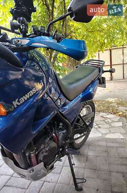 Мотоцикл Многоцелевой (All-round) Kawasaki KLE 250 Anhelo 1994 в 