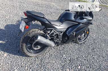 Мотоцикл Классик Kawasaki Ninja 250R 2012 в 