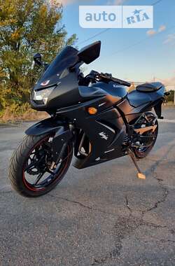 Спортбайк Kawasaki Ninja 250R 2010 в Днепре