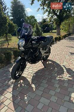 Мотоцикл Багатоцільовий (All-round) Kawasaki Versys 650 2010 в 