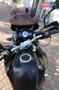 Мотоцикл Багатоцільовий (All-round) Kawasaki Versys 650 2010 в 