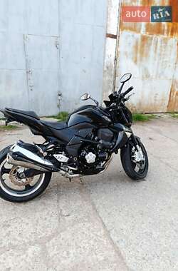 Мотоцикл Без обтікачів (Naked bike) Kawasaki Z 1000 2009 в 