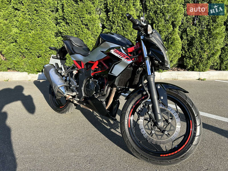 Мини спорт Kawasaki Z 250SL 2018 в Киеве