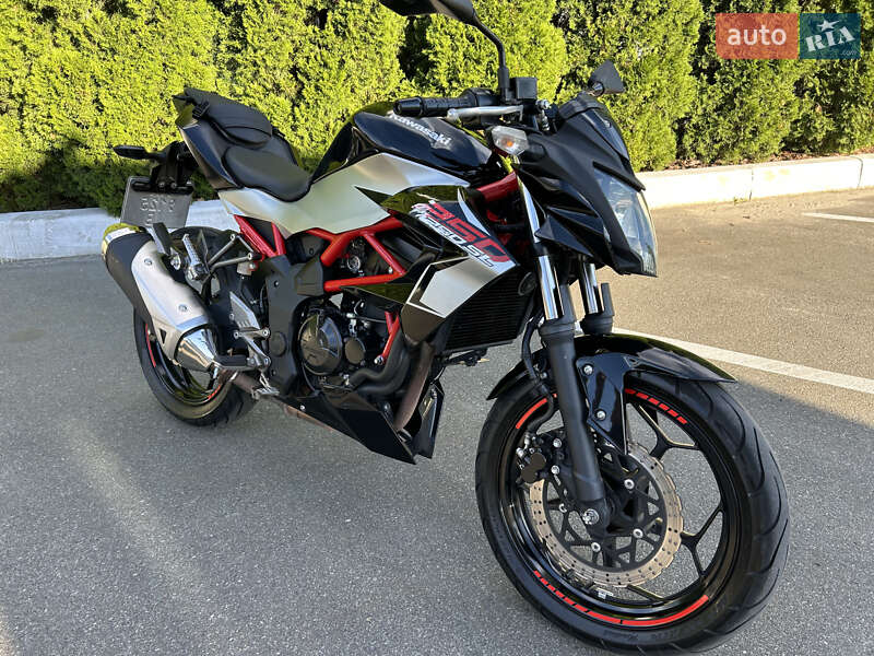 Мини спорт Kawasaki Z 250SL 2018 в Киеве