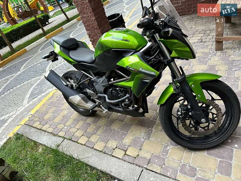 Kawasaki Z 250SL 2015