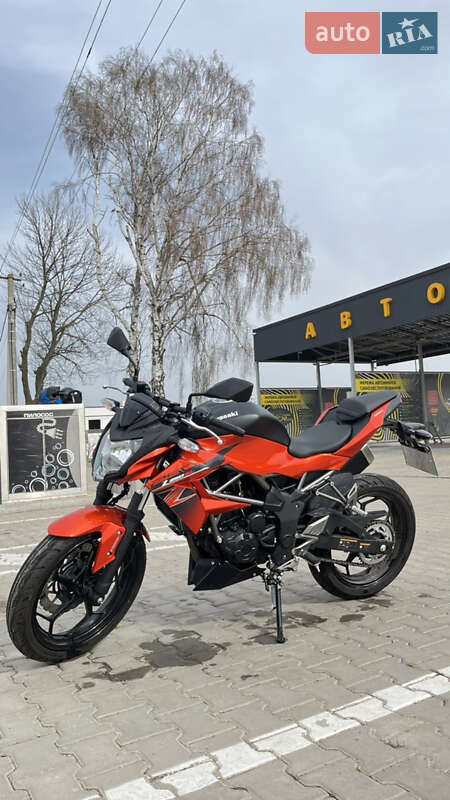 Kawasaki Z 250SL 2017