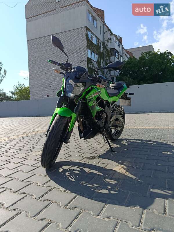 Kawasaki Z 250SL 2016