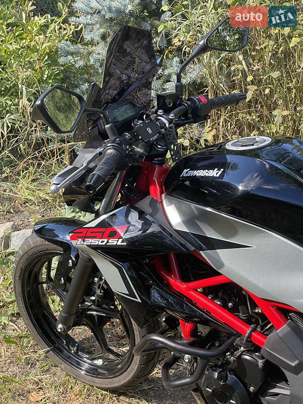 Мотоцикл Без обтекателей (Naked bike) Kawasaki Z 250SL 2018 в Орловщине