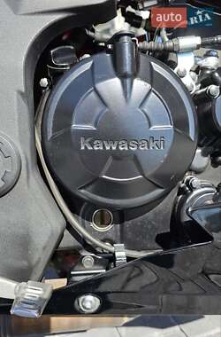 Скремблер Kawasaki Z 250SL 2018 в 