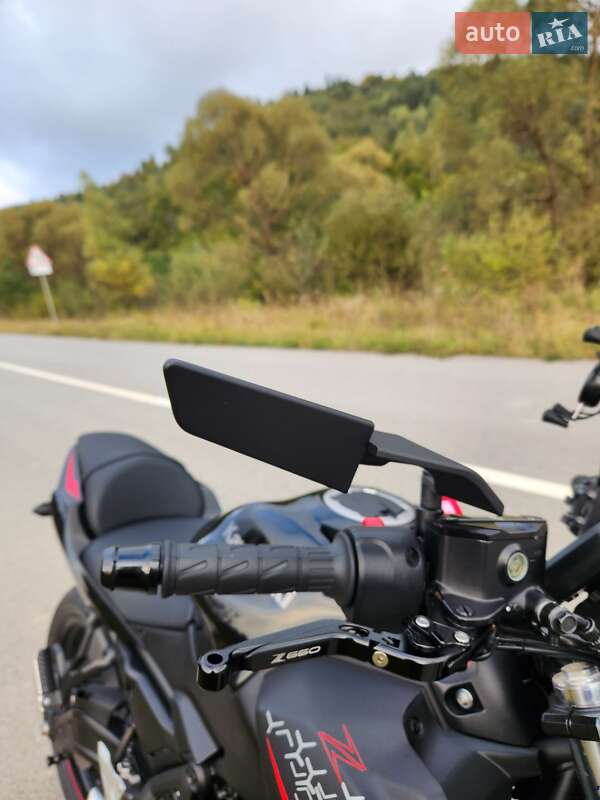 Мотоцикл Без обтекателей (Naked bike) Kawasaki Z 650 2023 в Самборе
