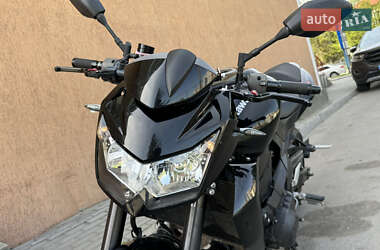 Мотоцикл Без обтікачів (Naked bike) Kawasaki Z 750 2012 в 