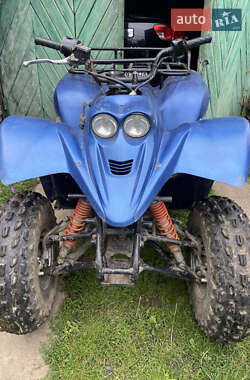 Утилитарные снегоходы Keeway Dragon 2008 в 