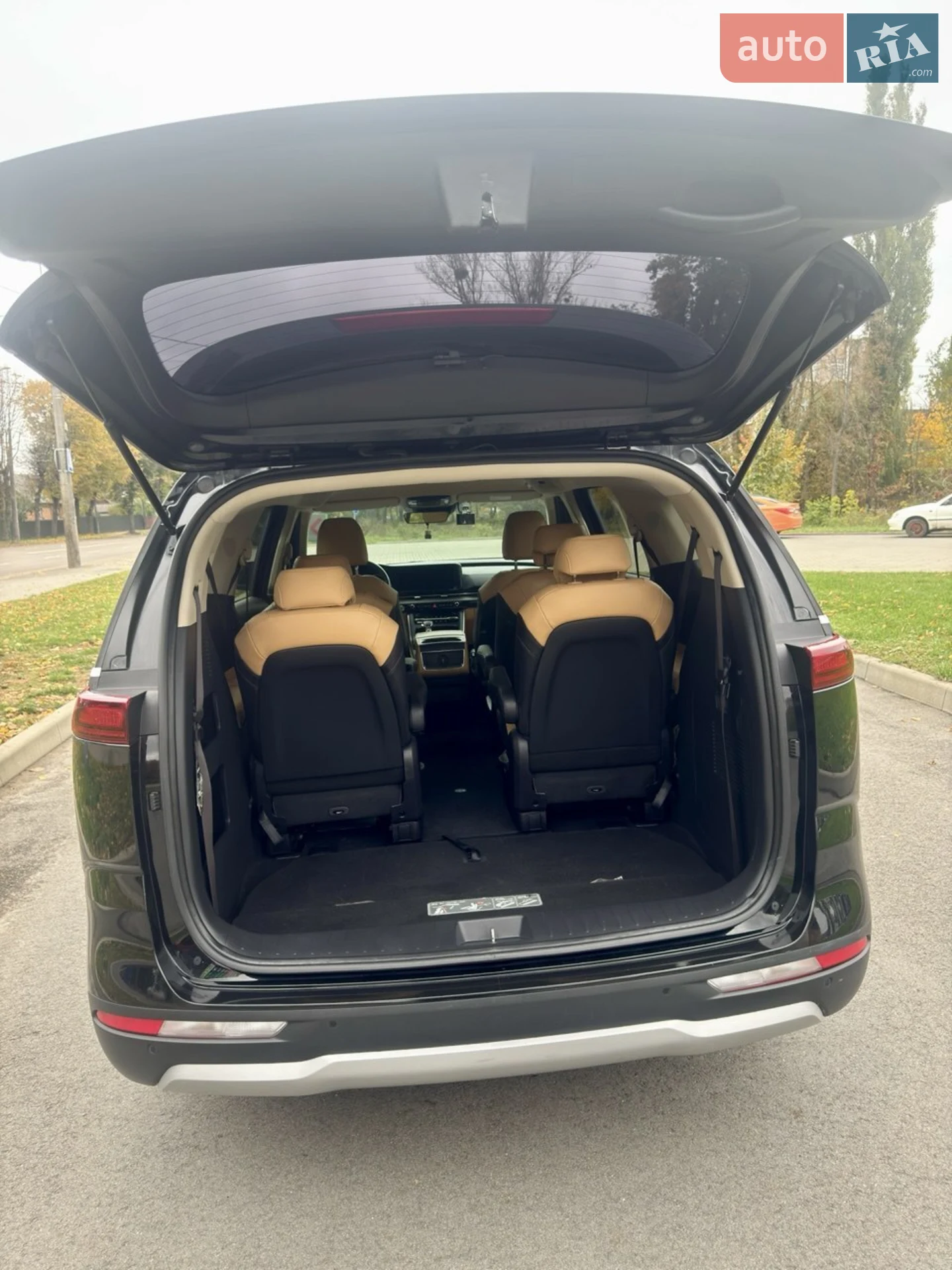 2021 Kia Carnival - мініатюра 10