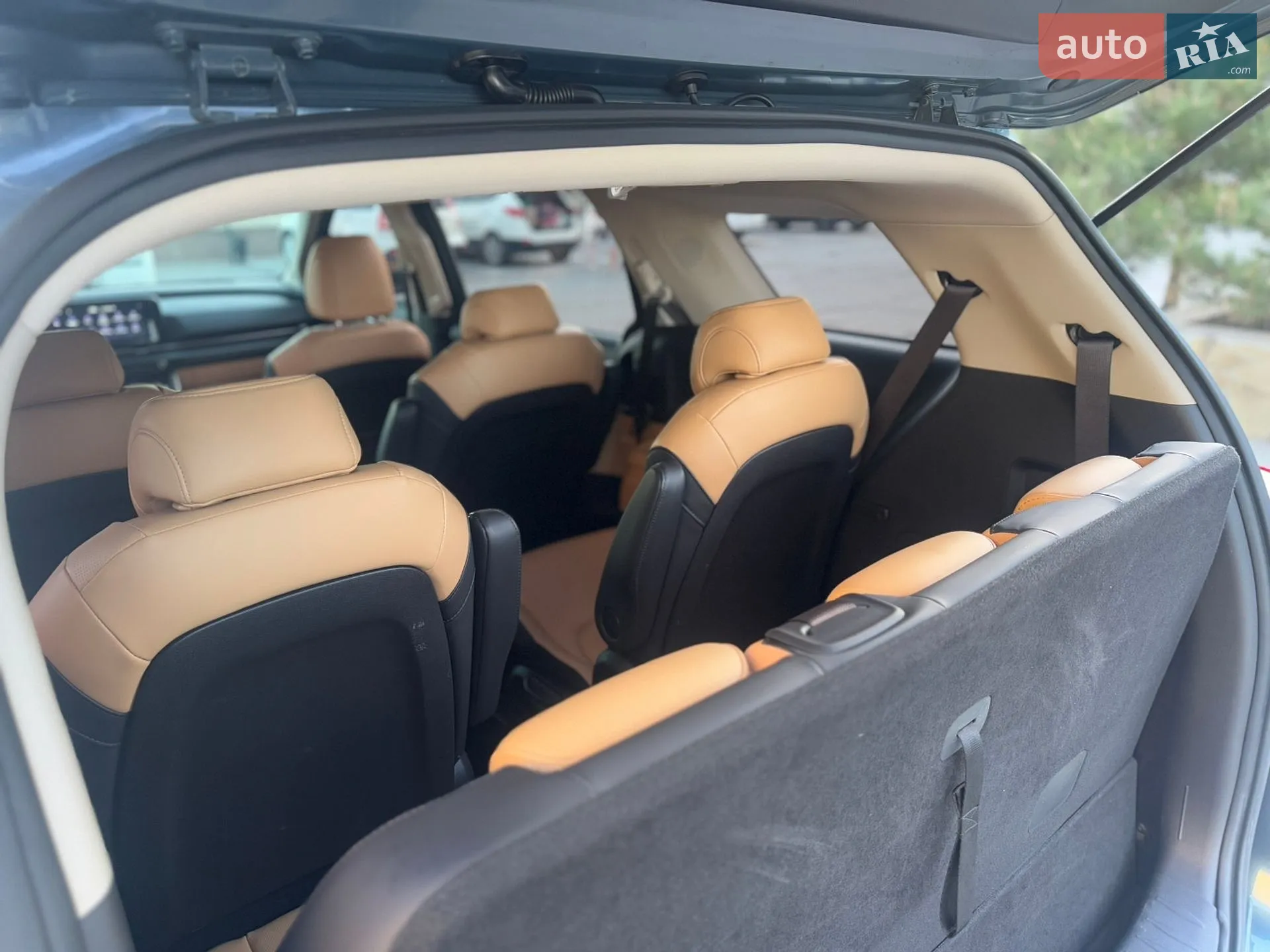 2021 Kia Carnival - мініатюра 30