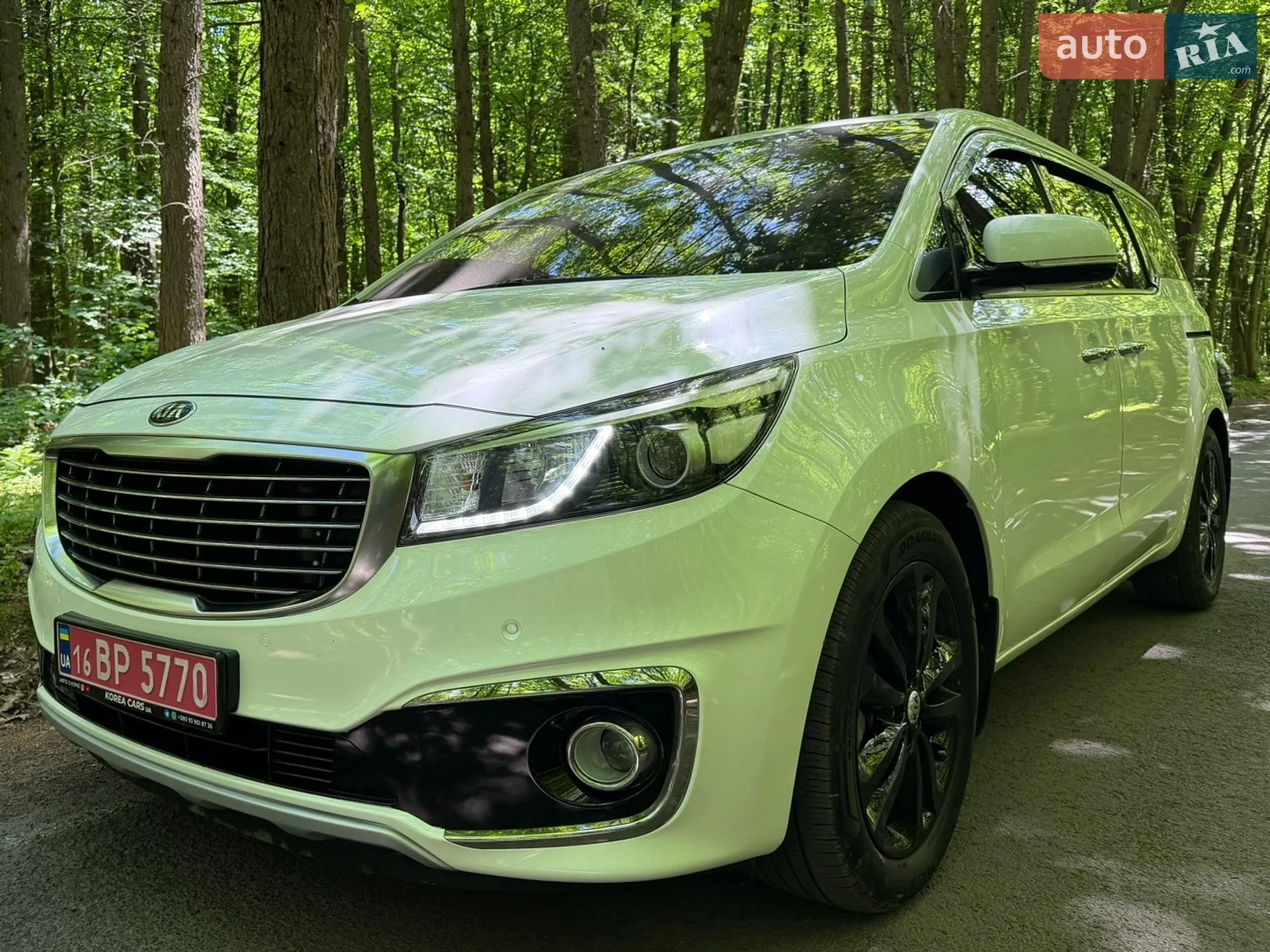 2018 Kia Carnival - мініатюра 2