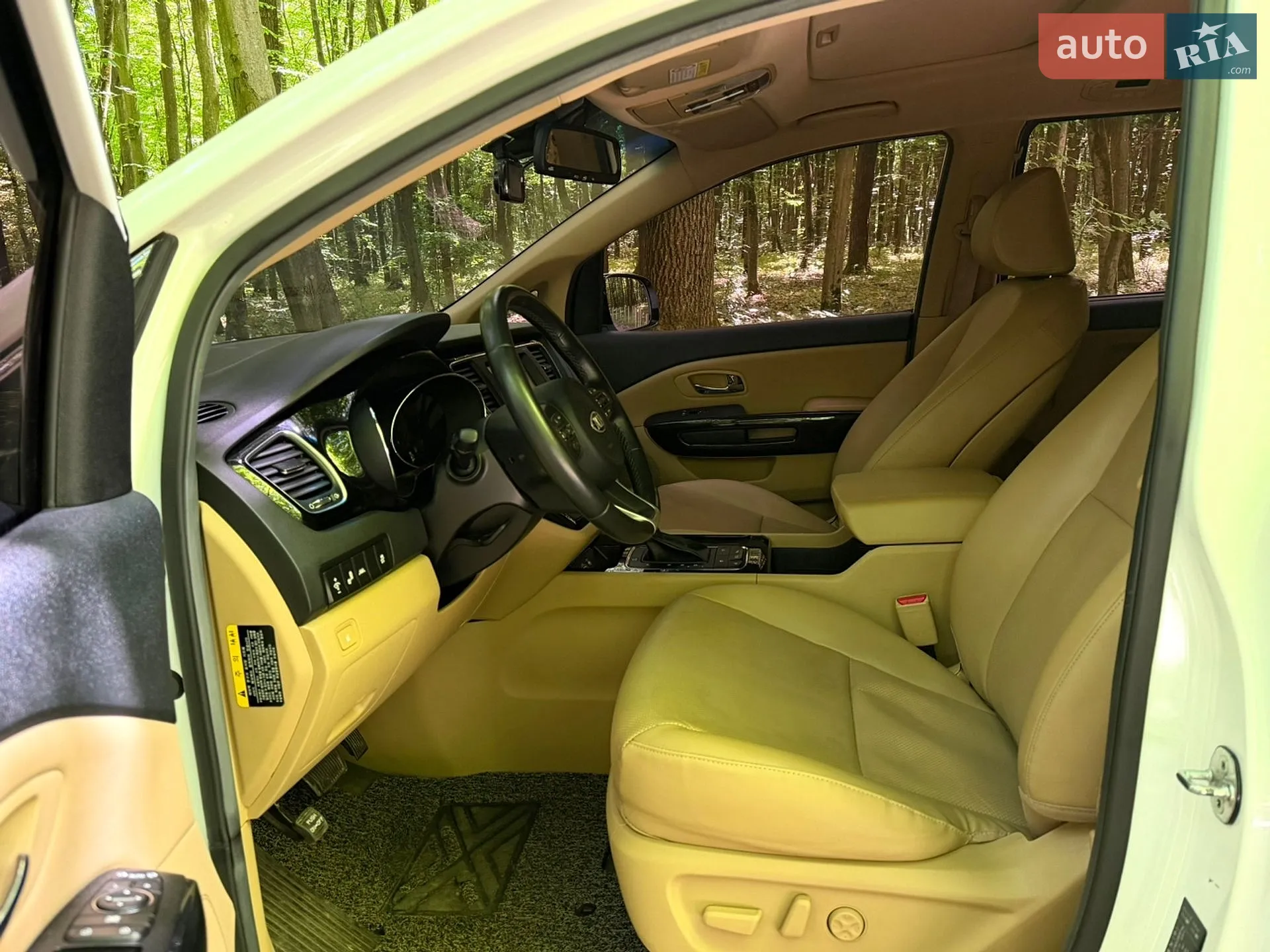 2018 Kia Carnival - мініатюра 18
