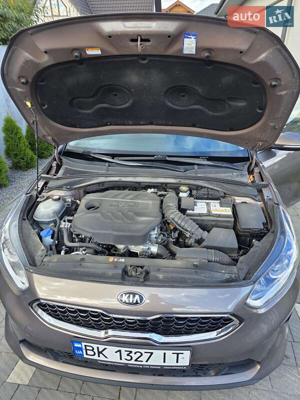 Хэтчбек Kia Ceed 2019 в Сарнах