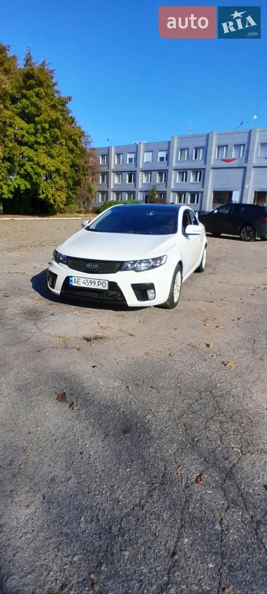 2012 Kia Cerato - мініатюра 15
