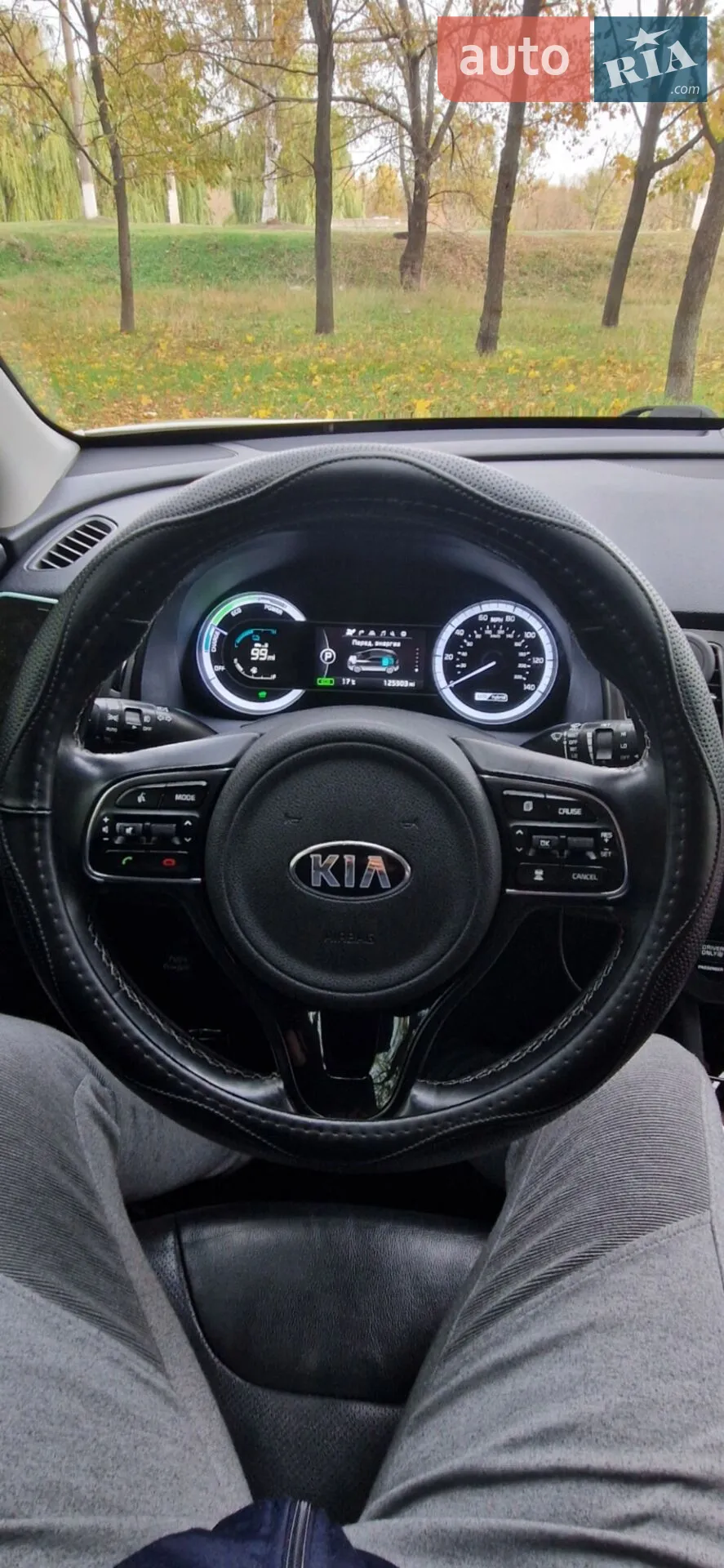 2019 Kia Niro - мініатюра 16