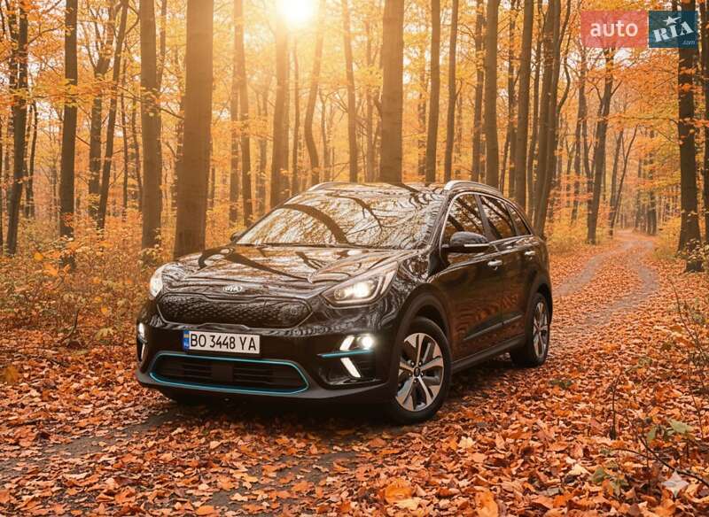 Внедорожник / Кроссовер Kia Niro 2020 в Гусятине