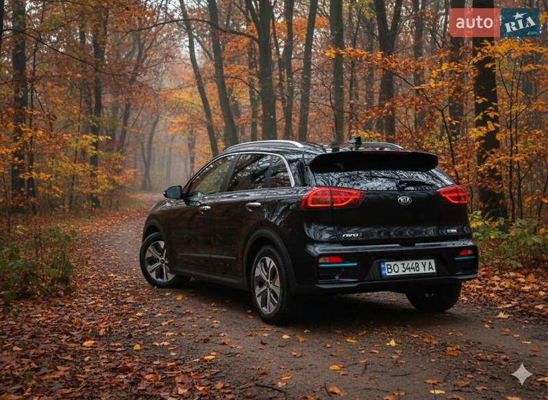 Внедорожник / Кроссовер Kia Niro 2020 в Гусятине