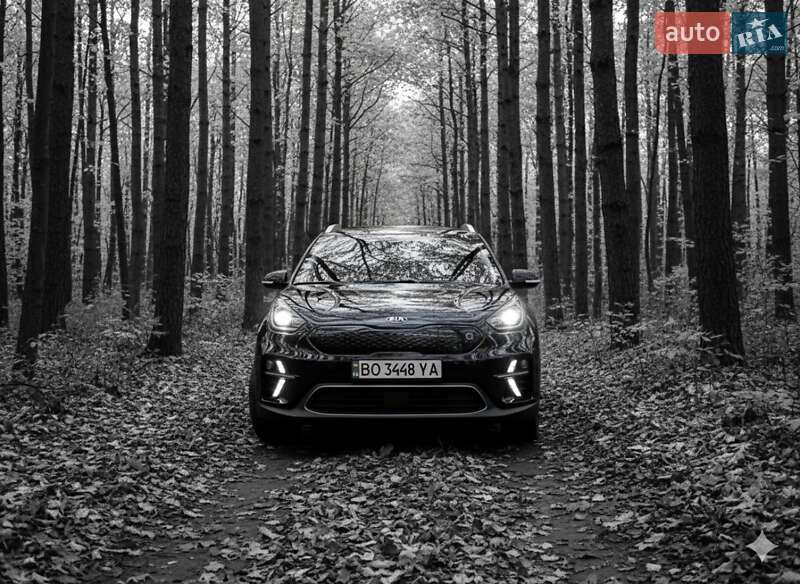 Внедорожник / Кроссовер Kia Niro 2020 в Гусятине