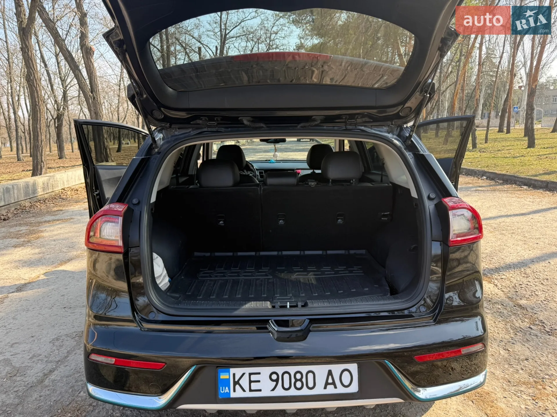 2018 Kia Niro - мініатюра 6