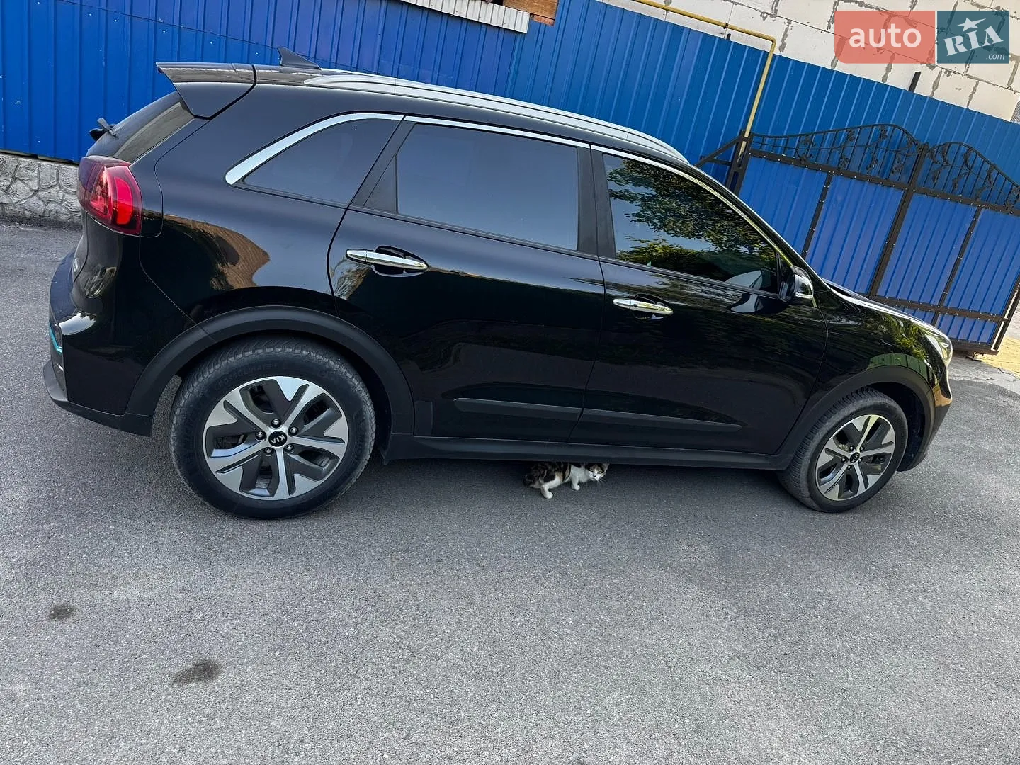 2021 Kia Niro - мініатюра 6