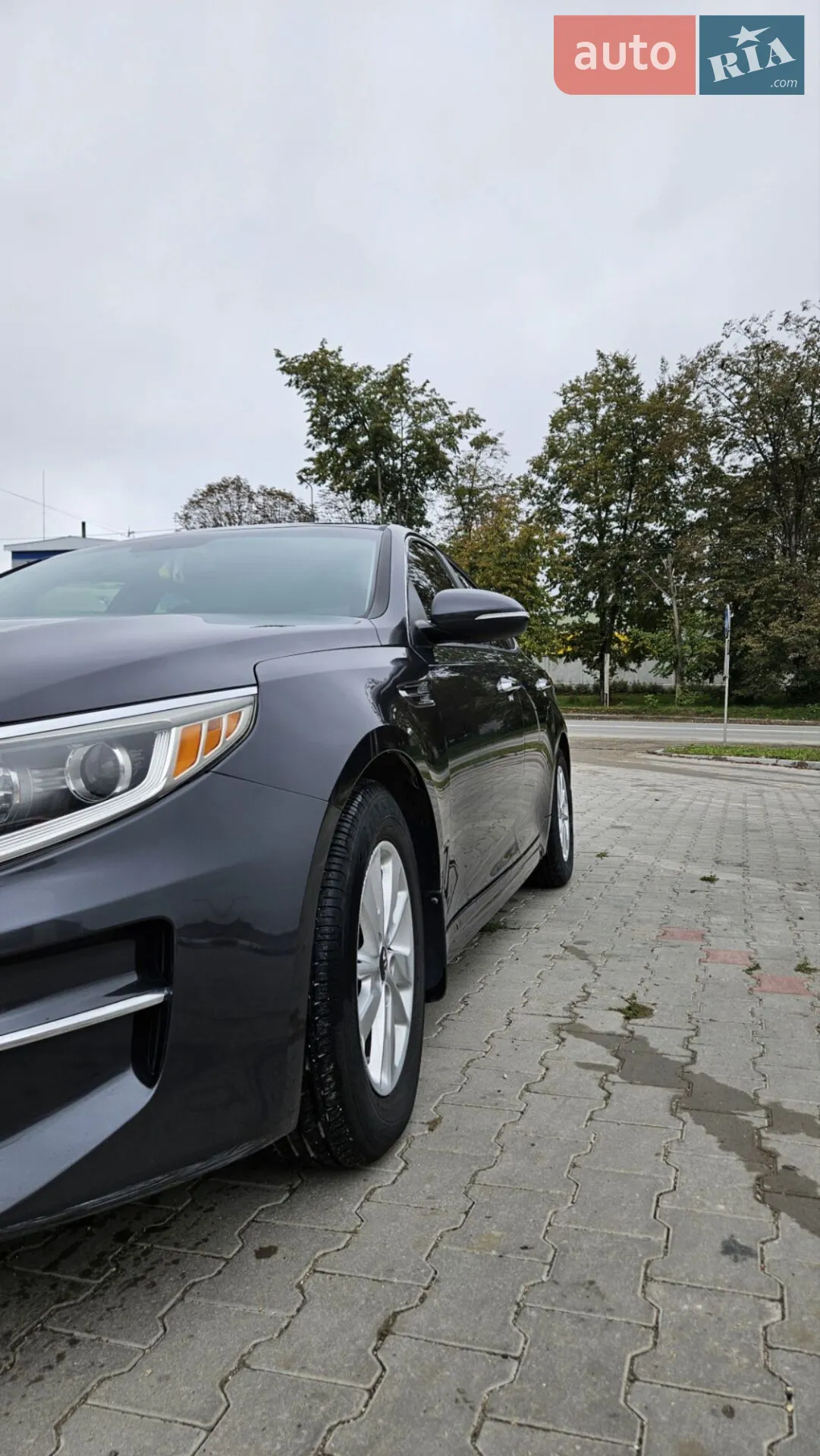 2016 Kia Optima - мініатюра 17