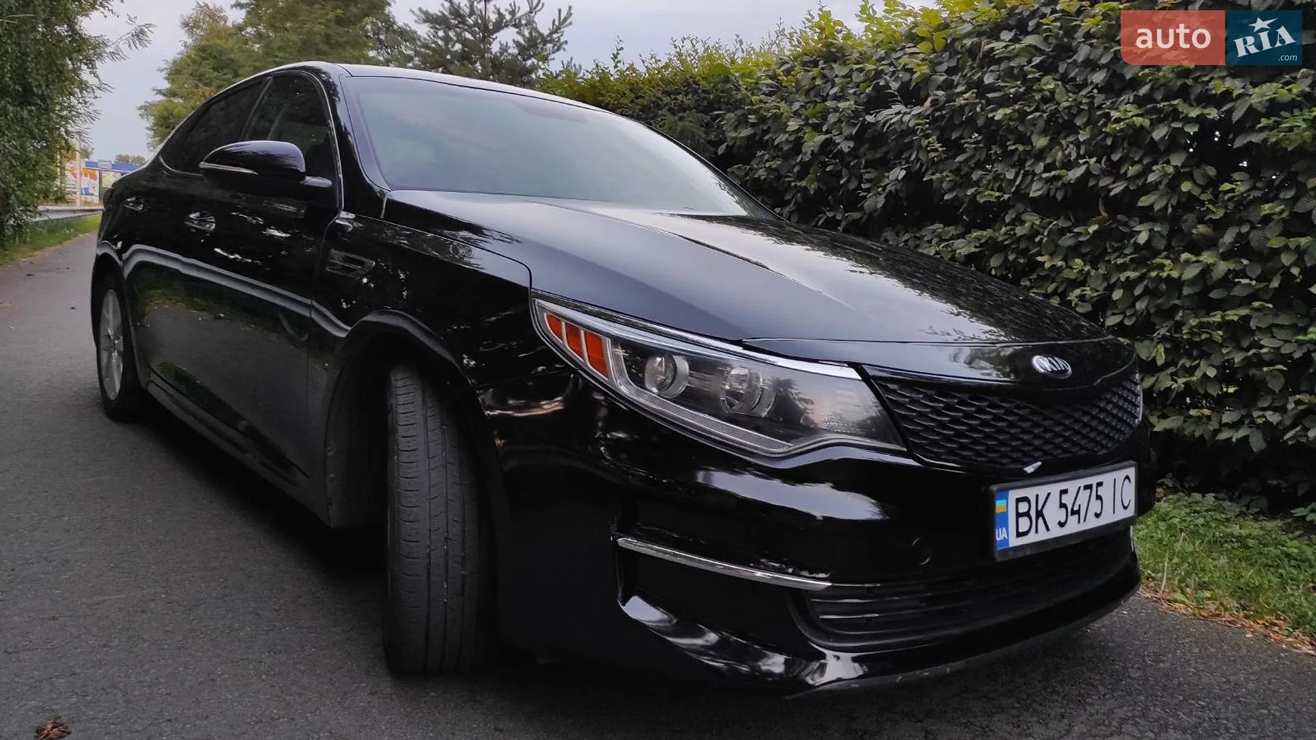 2016 Kia Optima - мініатюра 12