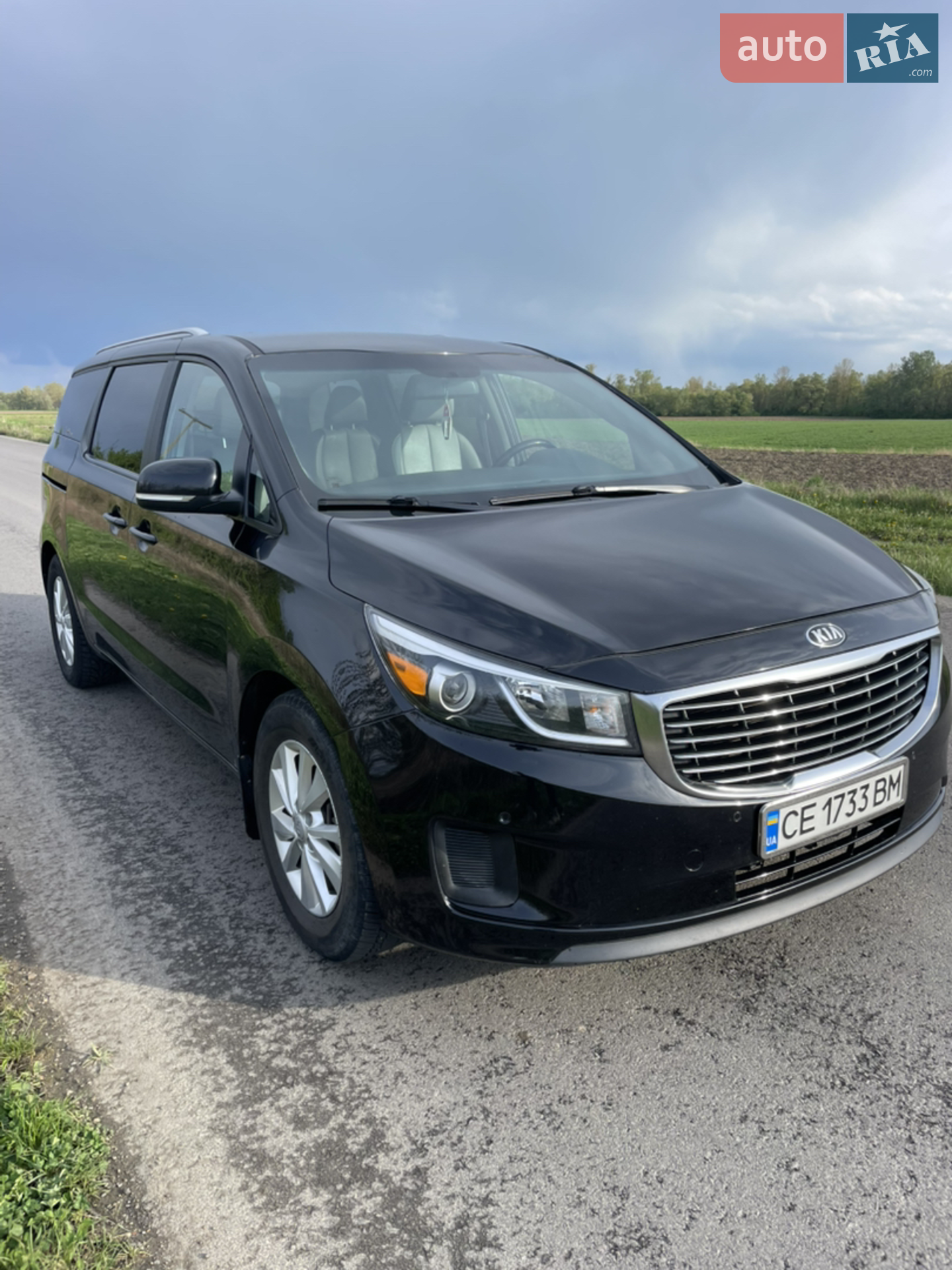 2016 Kia Sedona - мініатюра 12