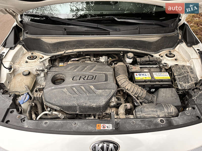 Внедорожник / Кроссовер Kia Seltos 2019 в Львове фото 18 Внедорожник / Кроссовер Kia Seltos 2019 в Львове