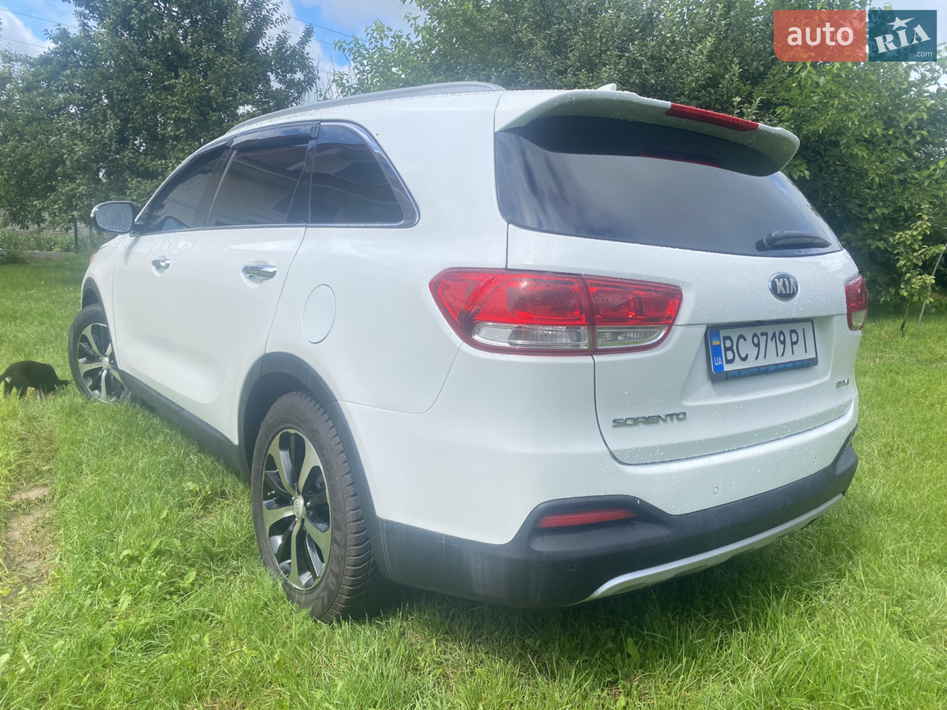 2016 Kia Sorento - мініатюра 5