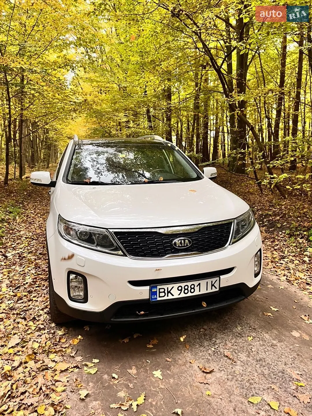 2014 Kia Sorento - мініатюра 31