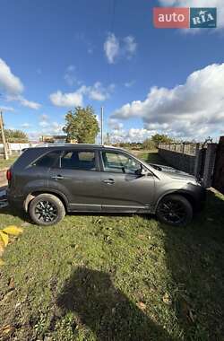 Внедорожник / Кроссовер Kia Sorento 2013 в 