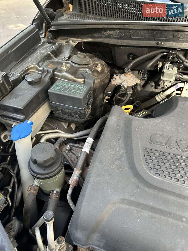 Внедорожник / Кроссовер Kia Sorento 2010 в Татарове фото 38 Внедорожник / Кроссовер Kia Sorento 2010 в Татарове