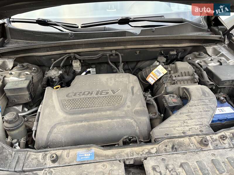 Внедорожник / Кроссовер Kia Sorento 2012 в Луцке фото 29 Внедорожник / Кроссовер Kia Sorento 2012 в Луцке