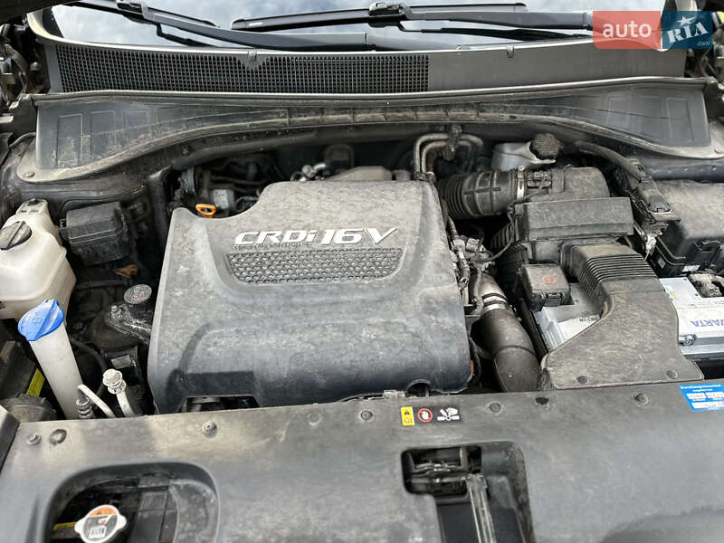 Внедорожник / Кроссовер Kia Sorento 2016 в Самборе фото 98 Внедорожник / Кроссовер Kia Sorento 2016 в Самборе