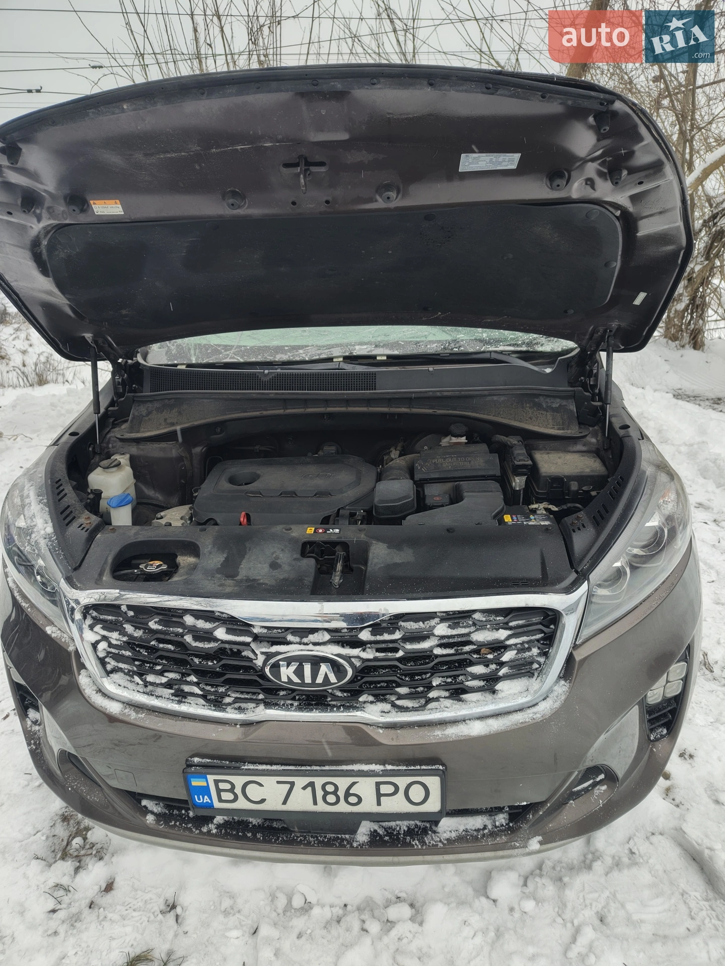 2019 Kia Sorento - фото 1