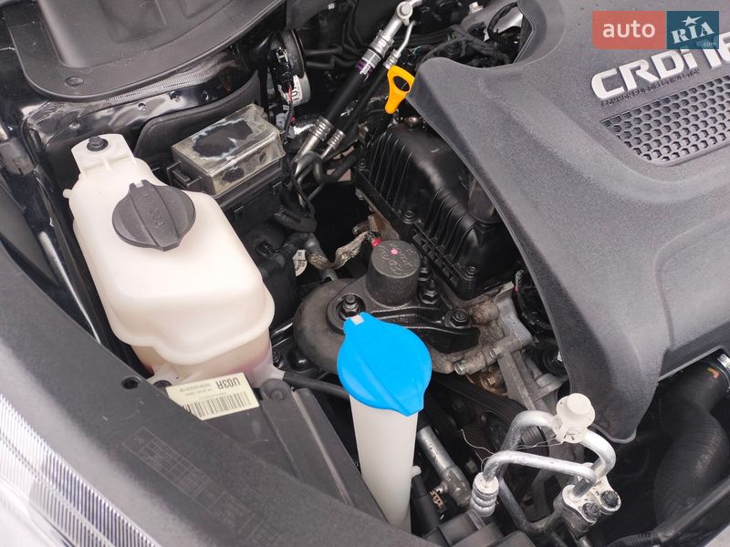 Внедорожник / Кроссовер Kia Sorento 2016 в Ровно