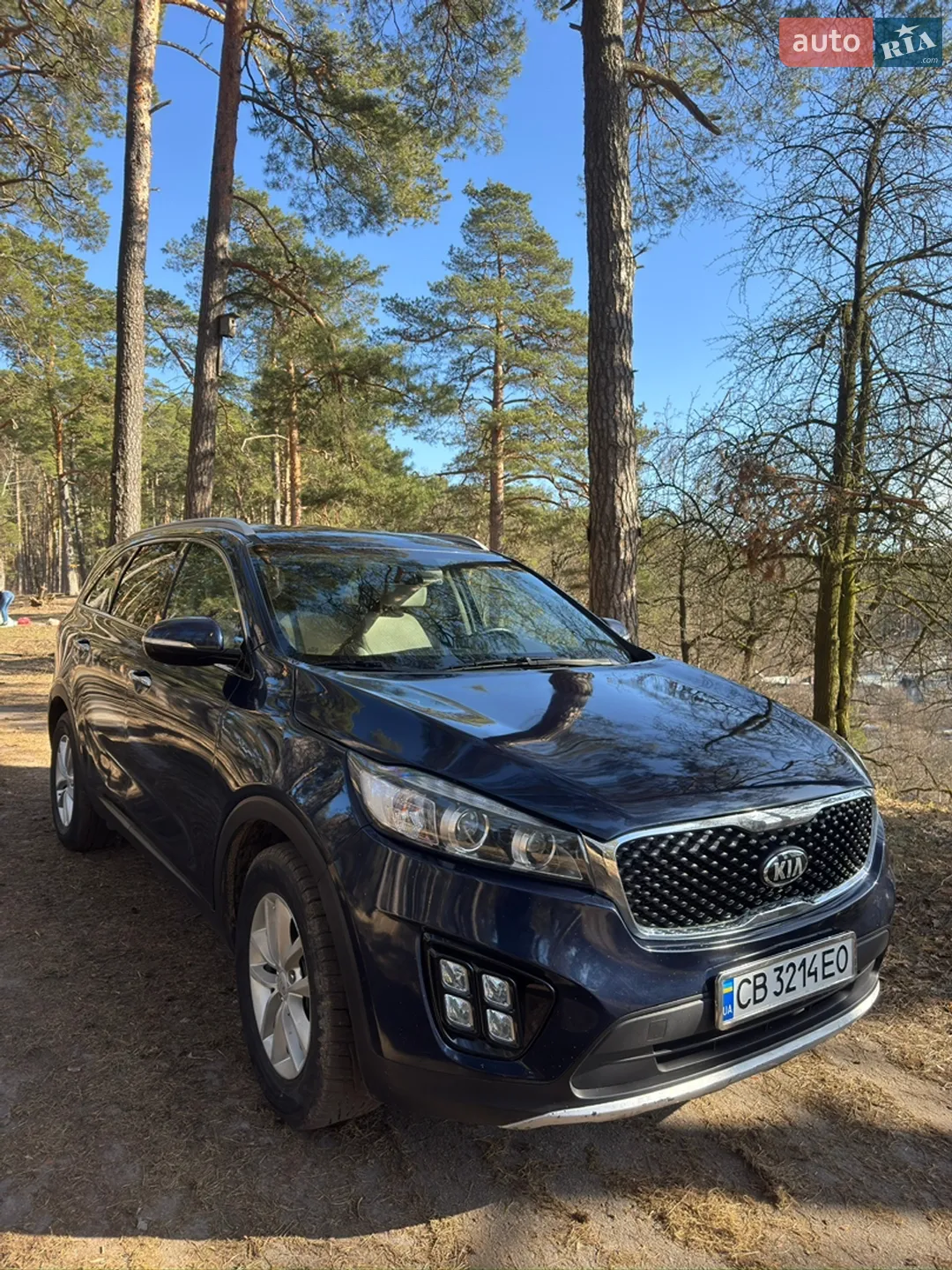 2016 Kia Sorento - мініатюра 9