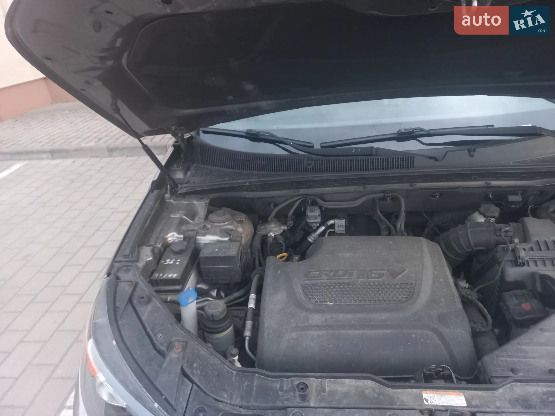 2010 Kia Sorento - мініатюра 38