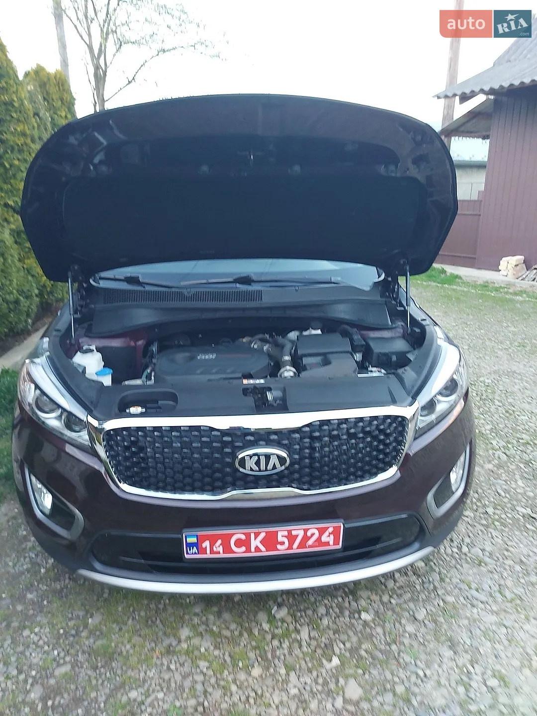 2015 Kia Sorento - мініатюра 7