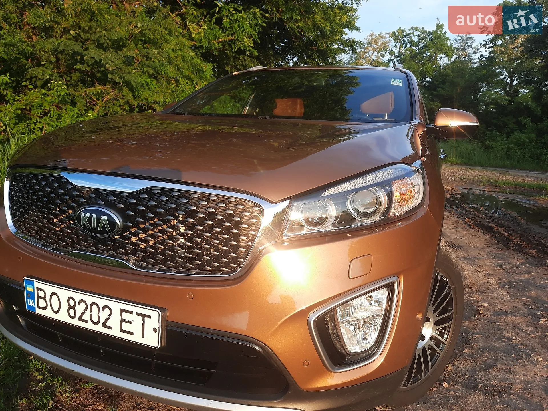 2014 Kia Sorento - мініатюра 2