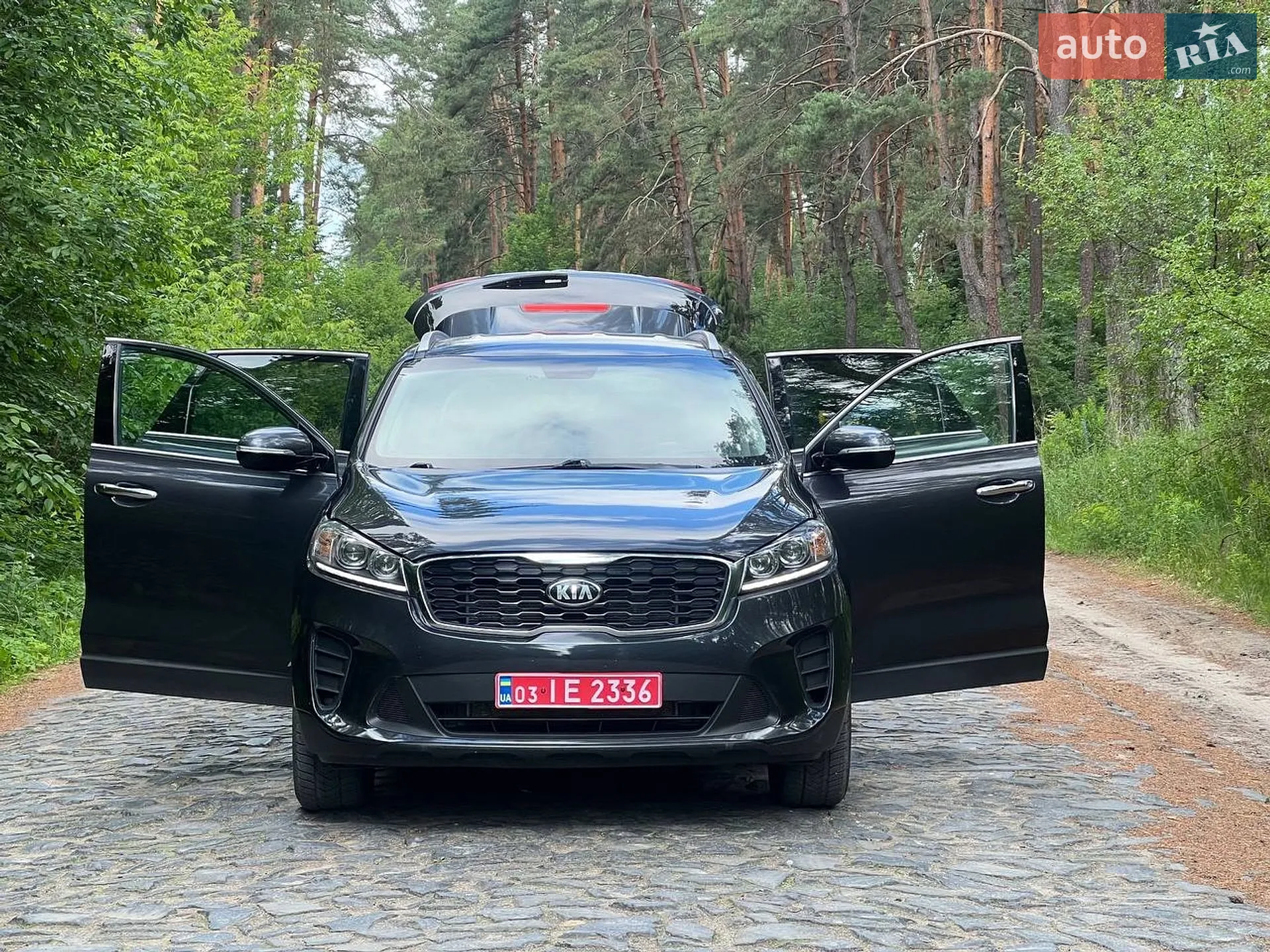 2018 Kia Sorento - мініатюра 13
