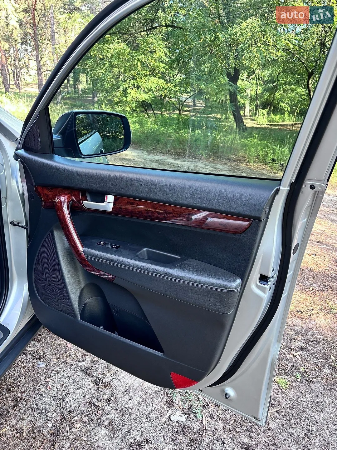 2010 Kia Sorento - мініатюра 27