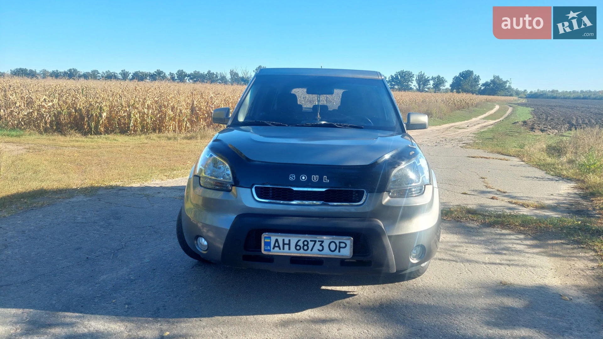 2010 Kia Soul - мініатюра 2