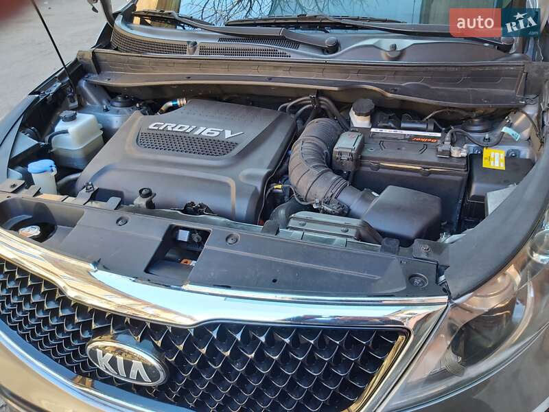 Внедорожник / Кроссовер Kia Sportage 2014 в Одессе
