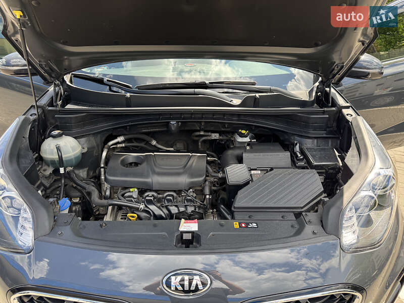 Внедорожник / Кроссовер Kia Sportage 2019 в Киеве